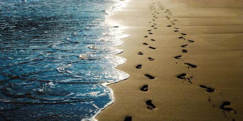 following the follower