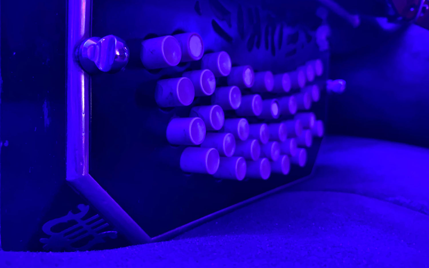 Tango Terra Sunday.jpg