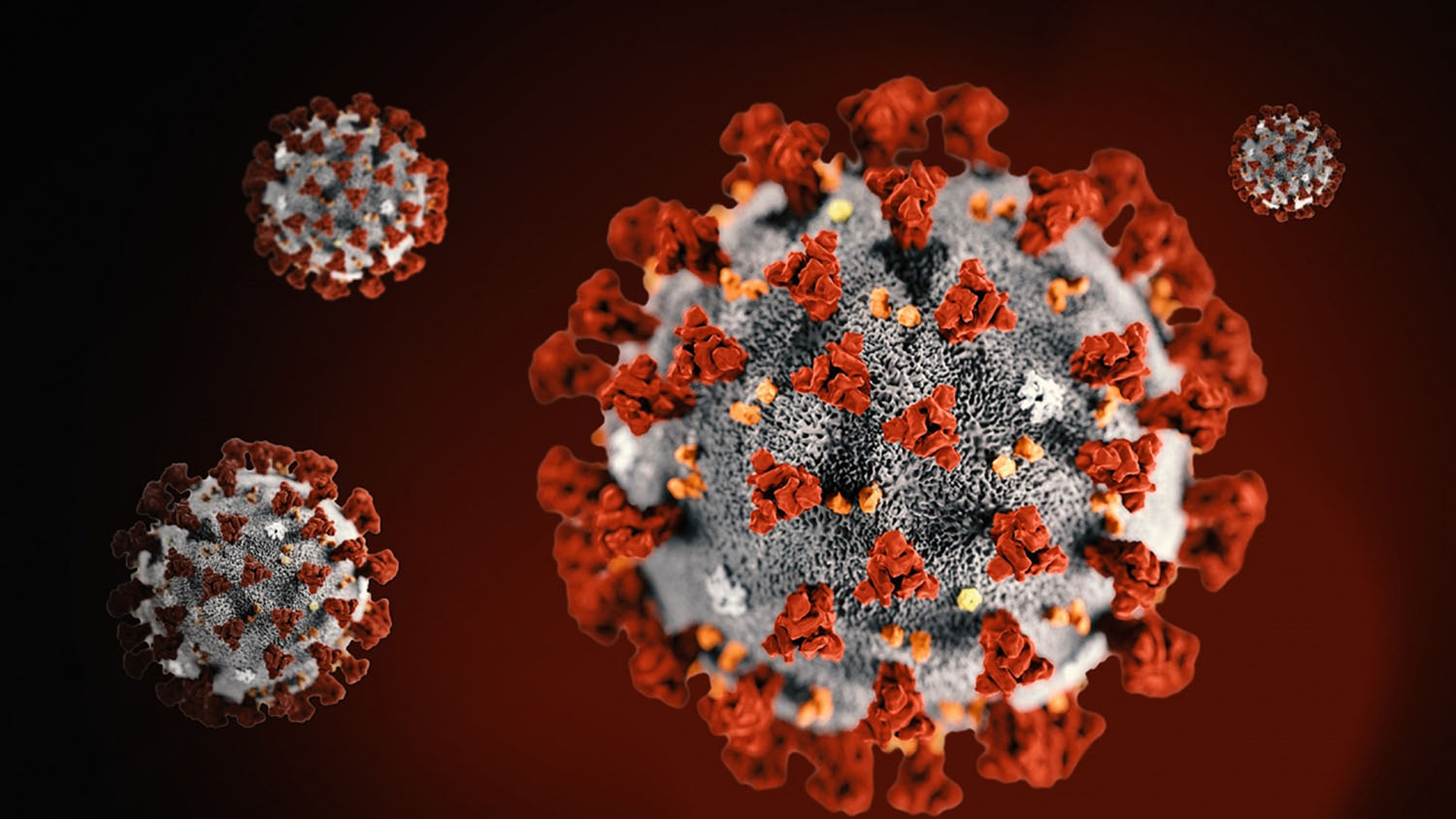 Coronavirus COVID-9.jpg