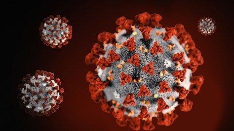 Coronavirus COVID-9.jpg