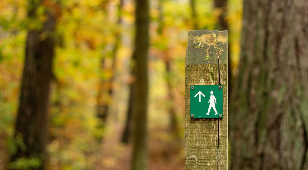 An important milestone | A walking route marker in some woodland